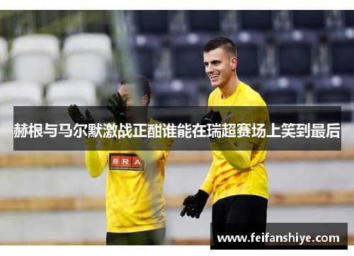 赫根与马尔默激战正酣谁能在瑞超赛场上笑到最后