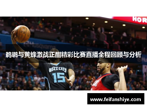 鹈鹕与黄蜂激战正酣精彩比赛直播全程回顾与分析