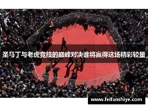 圣马丁与老虎竞技的巅峰对决谁将赢得这场精彩较量